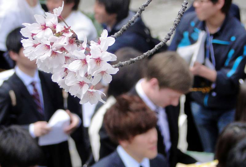 東京都市大学　入学式